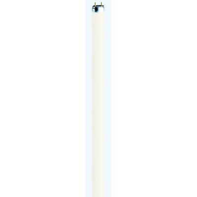 Lâmpada fluorescente Osram L 18 W/77 - Encaixe G13 - 18W - Tipo de produto: Lâmpada fluorescente Lâmpada fluorescente Osram L 18 W/77 - Encaixe G13 - 18W - Tipo de produto: Lâmpada fluorescente