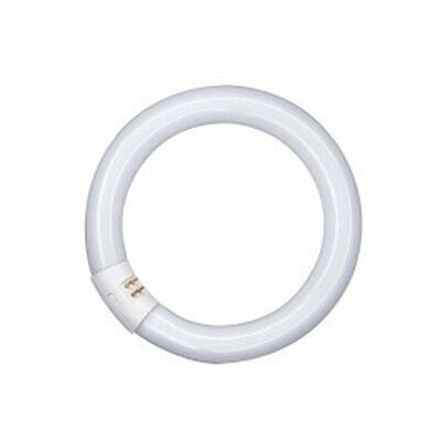 Ampoule fluorescente Osram Lumilux T9 G10q - 40W Blanc froid - Publicité Ampoule fluorescente Osram Lumilux T9 G10q - 40W Blanc froid - Publicité
