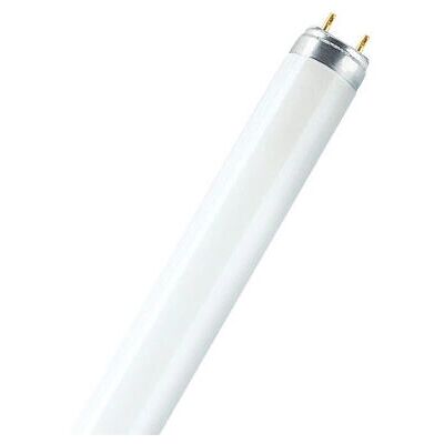 OSRAM T8 15W Ampoule Fluorescente Blanc Chaud - Publicité OSRAM T8 15W Ampoule Fluorescente Blanc Chaud - Publicité