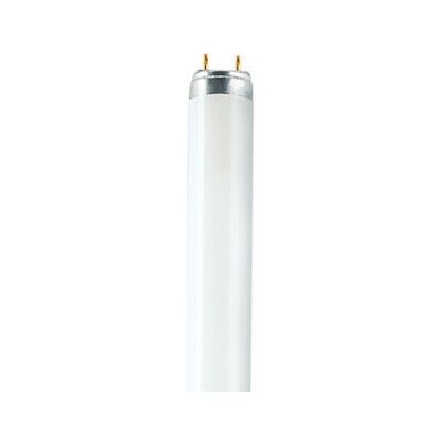 Bombilla fluorescente blanca cálida Osram T8 - Tubo fluorescente Bombilla fluorescente blanca cálida Osram T8 - Tubo fluorescente