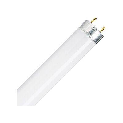 OSRAM Active Daywhite Bombilla fluorescente - 30W G13 OSRAM Active Daywhite Bombilla fluorescente - 30W G13