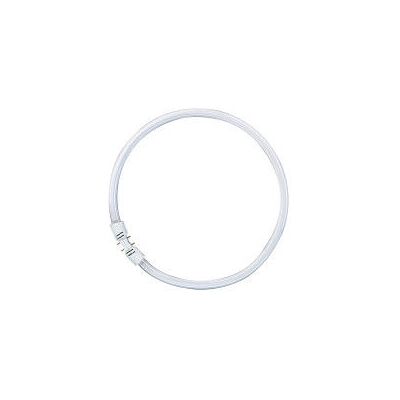 Bombilla fluorescente circular Osram LUMILUX 22W - Bombilla fluorescente Bombilla fluorescente circular Osram LUMILUX 22W - Bombilla fluorescente