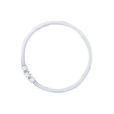 Lampadina fluorescente circolare Osram 40W - Bianco caldo Lampadina fluorescente circolare Osram 40W - Bianco caldo
