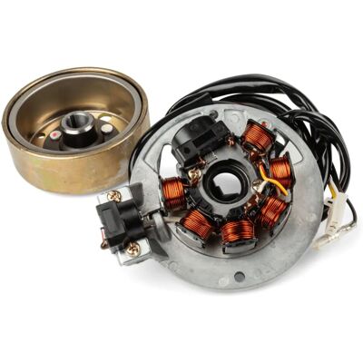 MotoForce Minarelli Vertical Ignition Kit - Complete OEM Replacement MotoForce Minarelli Vertical Ignition Kit - Complete OEM Replacement