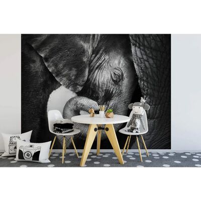 Murale di Elefanti LIVING WALLS - Arte animale in Vlies Murale di Elefanti LIVING WALLS - Arte animale in Vlies