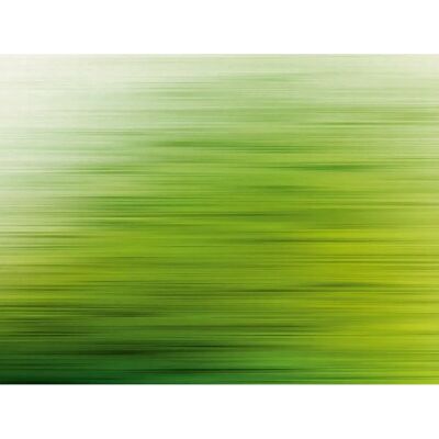 Living Walls Murale Verde - Decorazione Moderna Living Walls Murale Verde - Decorazione Moderna