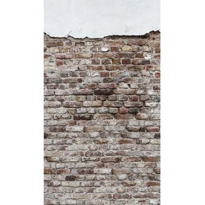 LIVING WALLS Il Muro Carta da Parati Grande - Decorazione Murale LIVING WALLS Il Muro Carta da Parati Grande - Decorazione Murale