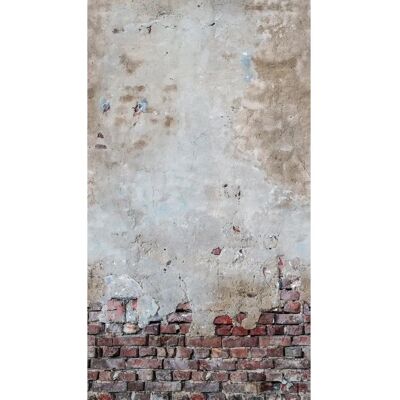 LIVING WALLS The Wall - Murale di pietra e colore LIVING WALLS The Wall - Murale di pietra e colore