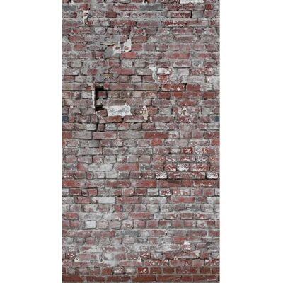Living Walls The Wall Carta da parati pietra rosso grigio 2x3m Vinile Living Walls The Wall Carta da parati pietra rosso grigio 2x3m Vinile