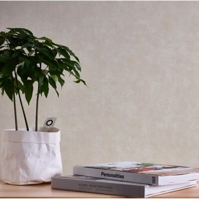 A.S. Création Terra Beige Vlies Wallpaper - Wallcovering A.S. Création Terra Beige Vlies Wallpaper - Wallcovering