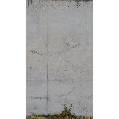 LIVING WALLS Carta da Parati Betonwand - Motivo di Cemento e Pietra LIVING WALLS Carta da Parati Betonwand - Motivo di Cemento e Pietra