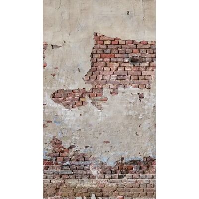 BRICOFLOR The Wall ii 392561 Carta da Parati - Effetto Pietra BRICOFLOR The Wall ii 392561 Carta da Parati - Effetto Pietra