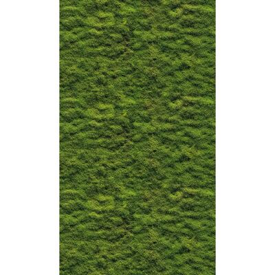 Livingwalls The Wall III Verde Mooswand Carta da Parati - Carta Livingwalls The Wall III Verde Mooswand Carta da Parati - Carta