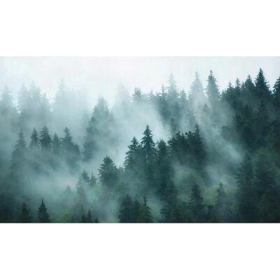 Living Walls Landschaft Tapete - Vlies, 2,8x3,71m Living Walls Landschaft Tapete - Vlies, 2,8x3,71m