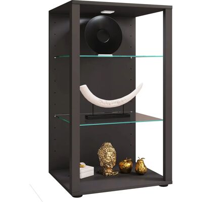 VCM Glasol Glasvitrine - Grau - Vitrine, Holz Glas, 90x52x44cm VCM Glasol Glasvitrine - Grau - Vitrine, Holz Glas, 90x52x44cm