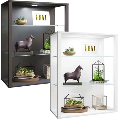 Vitrina de cristal Glasol LW - Anthracite - Estantes abiertas Vitrina de cristal Glasol LW - Anthracite - Estantes abiertas