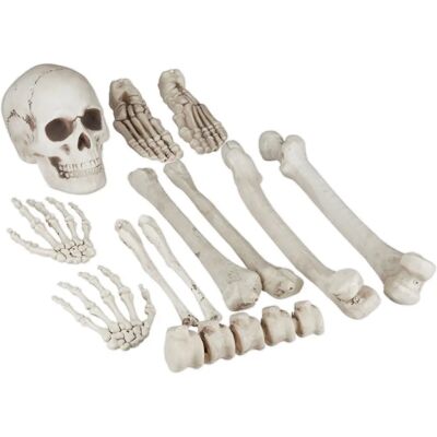 Relaxdays Schädelknochen Halloween Dekoration - Skelett-Kit Relaxdays Schädelknochen Halloween Dekoration - Skelett-Kit