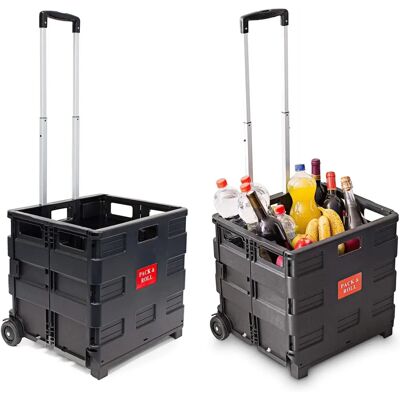 Relaxdays - 2 Chariots de courses, Plastique, 39x42x37cm, Capacité 35kg - Décoration Maison - Publicité Relaxdays - 2 Chariots de courses, Plastique, 39x42x37cm, Capacité 35kg - Décoration Maison - Publicité