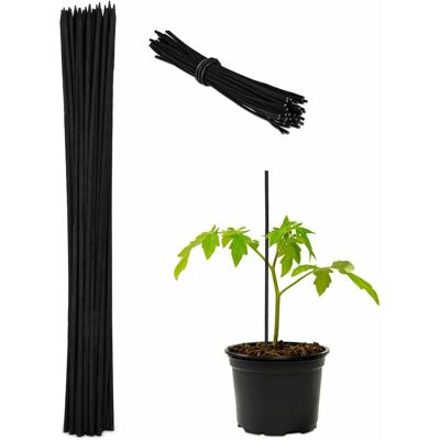 Relaxdays Bambusstützen 30 cm, Set 50, Schwarz - Pflanzenstütze Relaxdays Bambusstützen 30 cm, Set 50, Schwarz - Pflanzenstütze