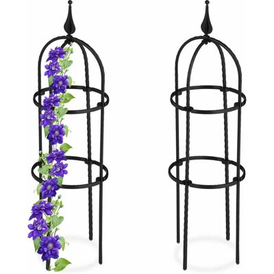 Relaxdays Plant Support - Steel, Black - 70cm, Set of 2 Relaxdays Plant Support - Steel, Black - 70cm, Set of 2