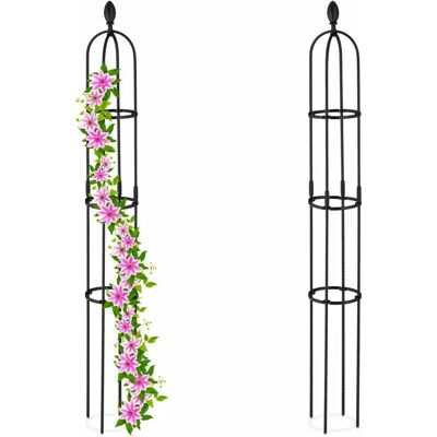 Relaxdays Plant Support - 160 x 20 cm - Black - Garden Accessory Relaxdays Plant Support - 160 x 20 cm - Black - Garden Accessory