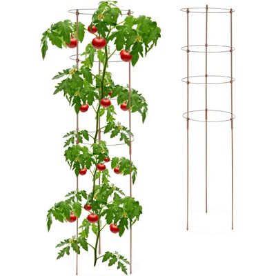 Relaxdays Plantensteun Set - 120cm - Voor Tomaten & Klimplanten Relaxdays Plantensteun Set - 120cm - Voor Tomaten & Klimplanten