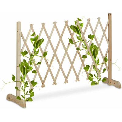 Relaxdays Supporto per Piante - Graticolato in Legno Regolabile per Piante Rampicanti Relaxdays Supporto per Piante - Graticolato in Legno Regolabile per Piante Rampicanti