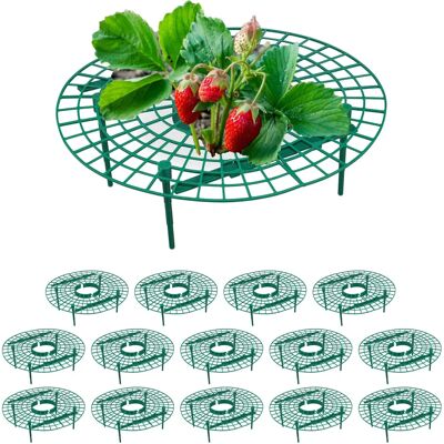Relaxdays Set da 15 Anelli di Supporto per Fragole - Plant Support Relaxdays Set da 15 Anelli di Supporto per Fragole - Plant Support