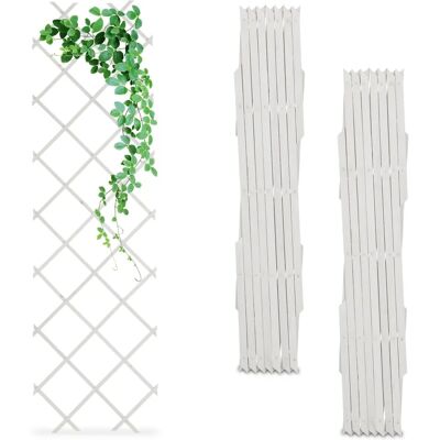 RELAXDAYS - Graticcio in legno 180x60 cm - Giardino RELAXDAYS - Graticcio in legno 180x60 cm - Giardino
