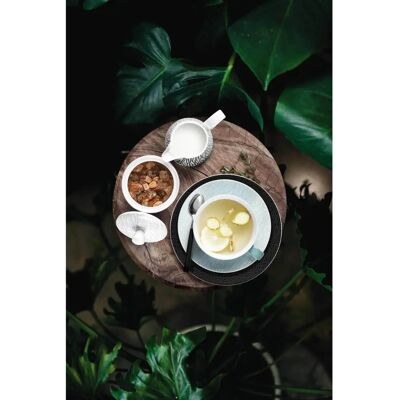 Seltmann Weiden Life Milchkännchen - Cremetopf - Rose - 0,26 l - Creamer Seltmann Weiden Life Milchkännchen - Cremetopf - Rose - 0,26 l - Creamer