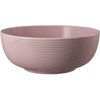 Seltmann Weiden Beat Foodbowl Altrosa - Foodbowl Seltmann Weiden Beat Foodbowl Altrosa - Foodbowl