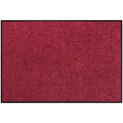 SALONLOEWE Rechteckige Fußmatte - Innen & Außen - 60x40cm SALONLOEWE Rechteckige Fußmatte - Innen & Außen - 60x40cm