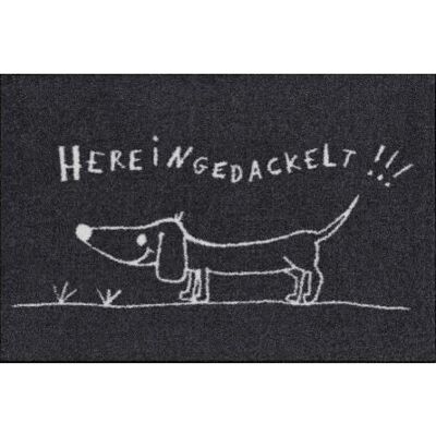 Salonloewe Hereingedackelt Fußmatte - Anthrazit - Innen/Außen - 50x75 cm Salonloewe Hereingedackelt Fußmatte - Anthrazit - Innen/Außen - 50x75 cm