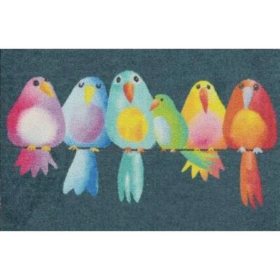 Efia Rainbow Birds Fußmatte - Waschbar Indoor/Outdoor Rutschfest 50x75cm Efia Rainbow Birds Fußmatte - Waschbar Indoor/Outdoor Rutschfest 50x75cm