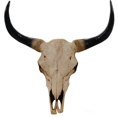 MENDLER - HWC-T454 - Natural - 45cm - Tête de trophée murale décorative - Publicité MENDLER - HWC-T454 - Natural - 45cm - Tête de trophée murale décorative - Publicité
