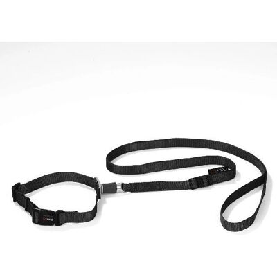 GoLeyGo Hundehalsband & Leine Set - Magnetischer Schnellverschluss - L GoLeyGo Hundehalsband & Leine Set - Magnetischer Schnellverschluss - L