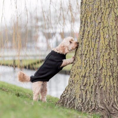 Trixie Kenton Hundepullover - L - 55cm Trixie Kenton Hundepullover - L - 55cm