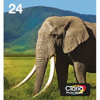 Cartouches d'encre multicolores Epson T24 Série - Cartouches d'imprimante - Publicité Cartouches d'encre multicolores Epson T24 Série - Cartouches d'imprimante - Publicité