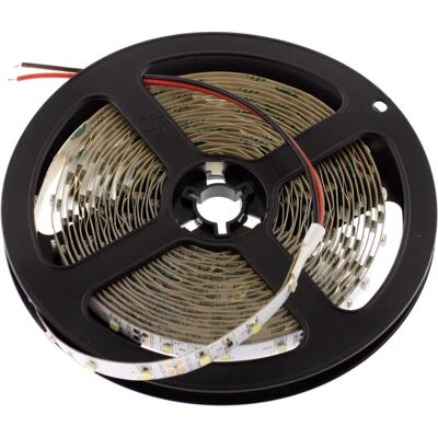 AZUL - 300LEDs SMD3825 12V - Blue - 5.0m - striscia LED AZUL - 300LEDs SMD3825 12V - Blue - 5.0m - striscia LED