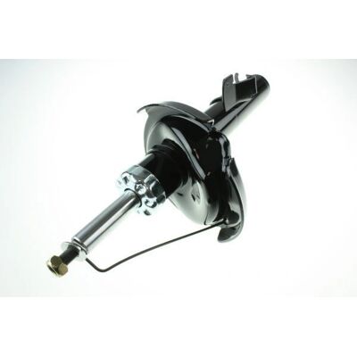 AUTOMEGA Stoßdämpfer 110012410 - Stoßdämpfer AUTOMEGA Stoßdämpfer 110012410 - Stoßdämpfer