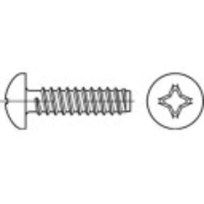 TOOLCRAFT 145064 Vis en acier galvanisé pour tôle - Phillips cruciforme - 6,5mm L TOOLCRAFT 145064 Vis en acier galvanisé pour tôle - Phillips cruciforme - 6,5mm L