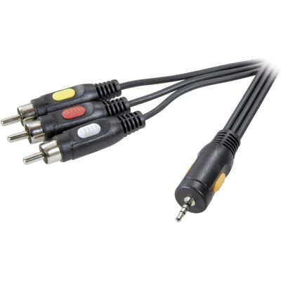 Câble Audio SpeaKa Professional 2,5m - 3 RCA, 2,5mm Jack - Noir - Publicité Câble Audio SpeaKa Professional 2,5m - 3 RCA, 2,5mm Jack - Noir - Publicité