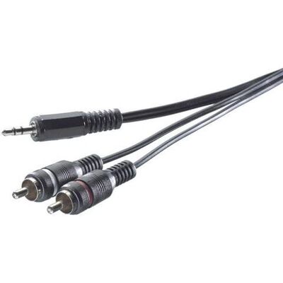 Câble audio SpeaKa Professional SP-7869916 - 5m, 2x RCA, 3,5mm, Noir - Publicité Câble audio SpeaKa Professional SP-7869916 - 5m, 2x RCA, 3,5mm, Noir - Publicité