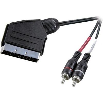 Câble audio SpeaKa Professional SP-7870676 - 2m SCART RCA Noir - Publicité Câble audio SpeaKa Professional SP-7870676 - 2m SCART RCA Noir - Publicité
