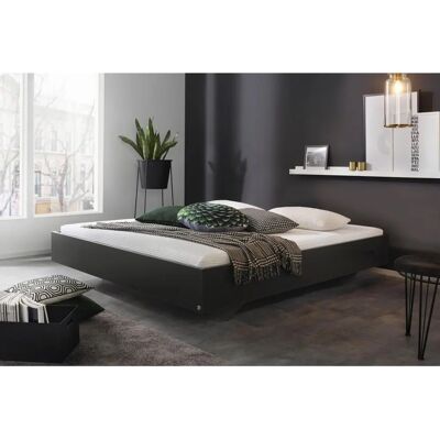 RAUCH Phoenix Futonbett - Modernes minimalistisches Design - Hergestellt in Deutschland RAUCH Phoenix Futonbett - Modernes minimalistisches Design - Hergestellt in Deutschland