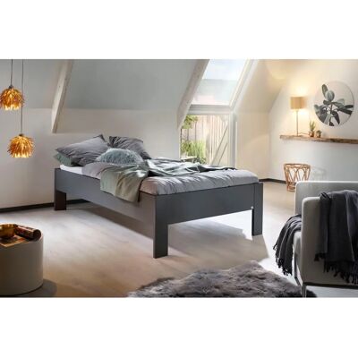 Futonbett RAUCH Aditio - 120x200cm, Grau, Ohne Matratze, Ohne Kopfteil Futonbett RAUCH Aditio - 120x200cm, Grau, Ohne Matratze, Ohne Kopfteil