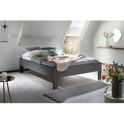 RAUCH Aditio Futonbett - 160x200cm, Ohne Matratze, Ohne Kopfteil - Futonbett RAUCH Aditio Futonbett - 160x200cm, Ohne Matratze, Ohne Kopfteil - Futonbett