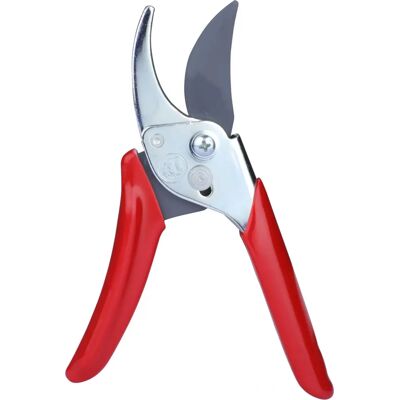 Cesoi Wolf-Garten 73AFA008650 - Passaggio, Rosso Cesoi Wolf-Garten 73AFA008650 - Passaggio, Rosso