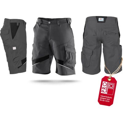 Pantaloncini da lavoro Kübler ACTIVIQ - Ergonomici, Resistenti, Vari Colori Pantaloncini da lavoro Kübler ACTIVIQ - Ergonomici, Resistenti, Vari Colori