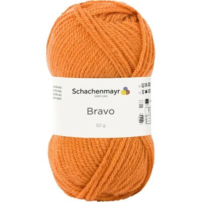 Schachenmayr Bravo Acrylgarn - Stricken & Häkeln für Jedermann Schachenmayr Bravo Acrylgarn - Stricken & Häkeln für Jedermann